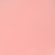 IMG_3450.jpeg