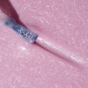 14 closeup.JPG